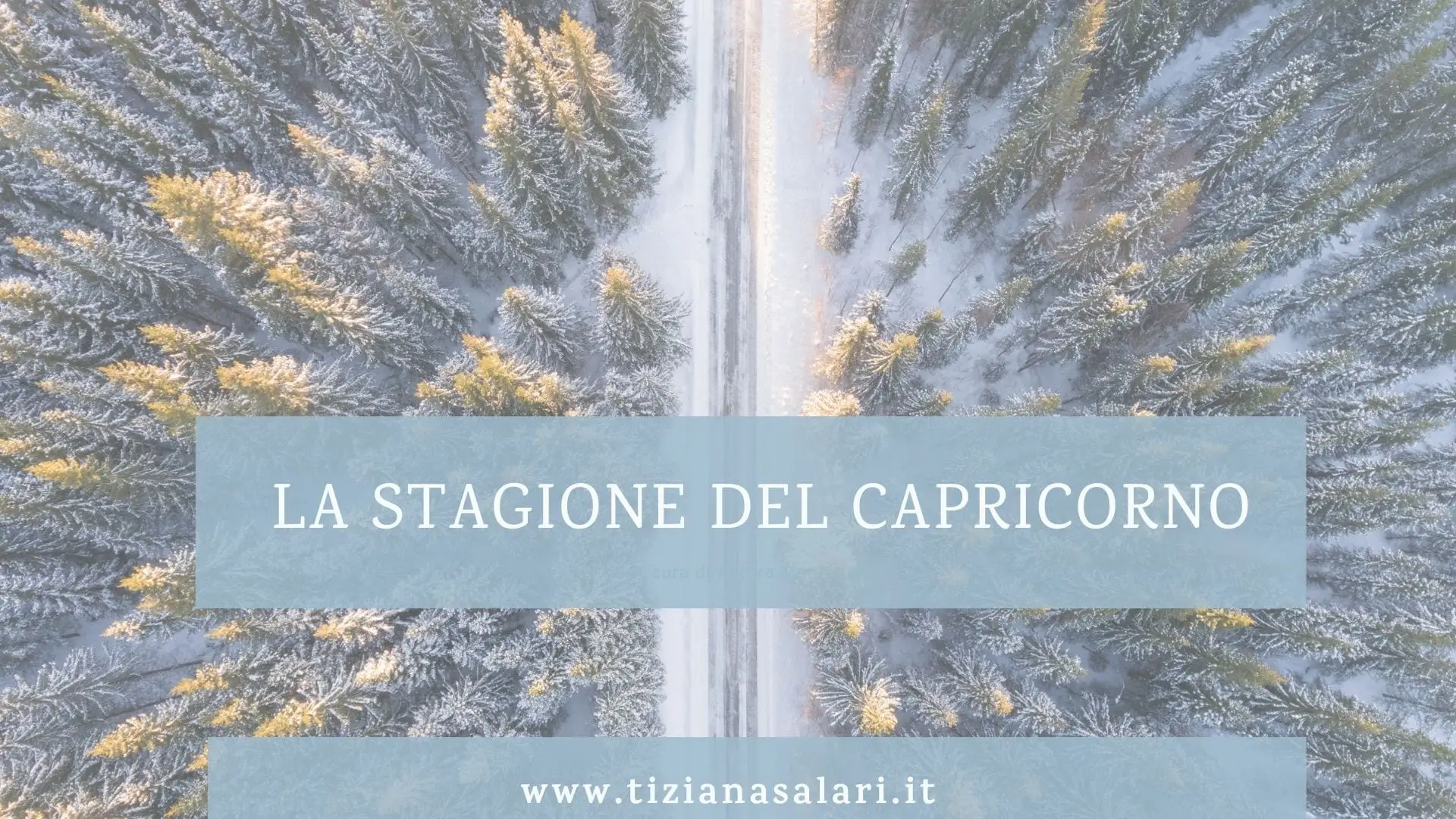 bosco innevato visto dall'alto